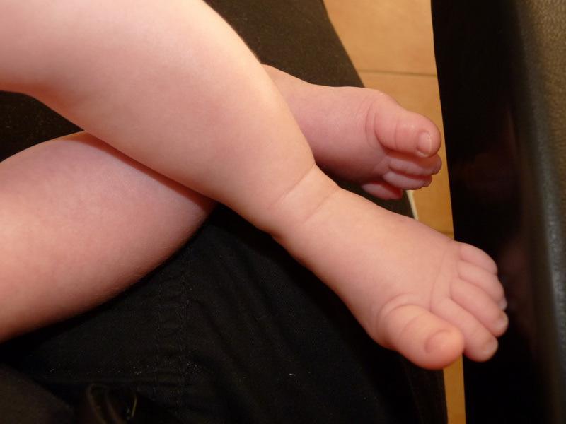 photos de vacances sur les animaux et .... train...... P1000855 resize