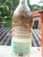Macérât Vinaigré de Lavande : Assouplissant et Anti-calcaire pour le Linge
