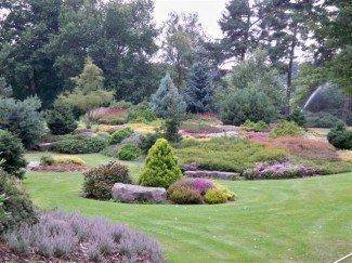 Des fleurs en septembre: fête de la Bruyère bruyeres-038