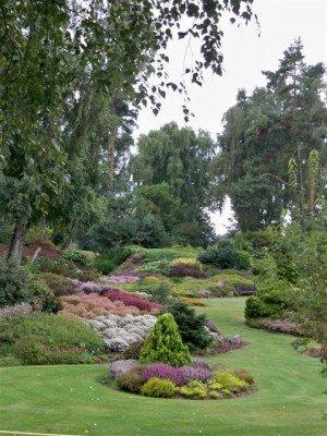 Des fleurs en septembre: fête de la Bruyère bruyeres-034