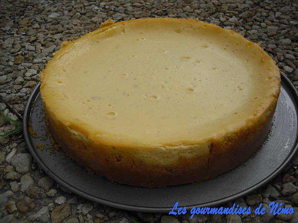 cheesecake-vanille--3--copie-1.JPG
