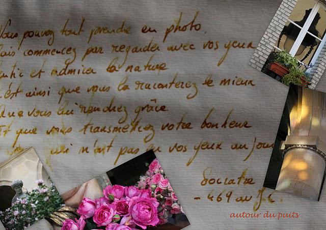 MA TATIN DE TOMATES AU FIL DU JOUR MA TATIN DE TOMATES AU FIL DU JOUR