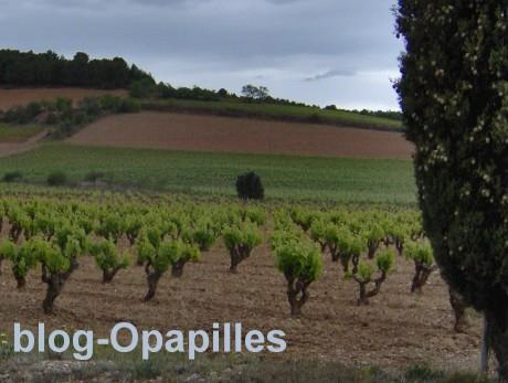 Le cinquième principe du régime crétois vin-joliett.jpg