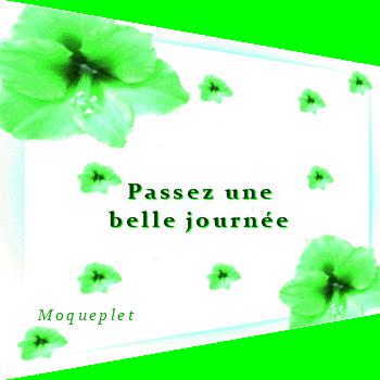 Tartelettes mûres et myrtilles 26doz9g-copie-1.gif