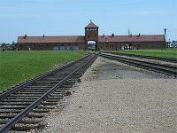 Adolf Hitler était lié génétiquement aux Chleuh du Maroc ! Adolf Hitler était lié génétiquement aux Chleuh du Maroc !