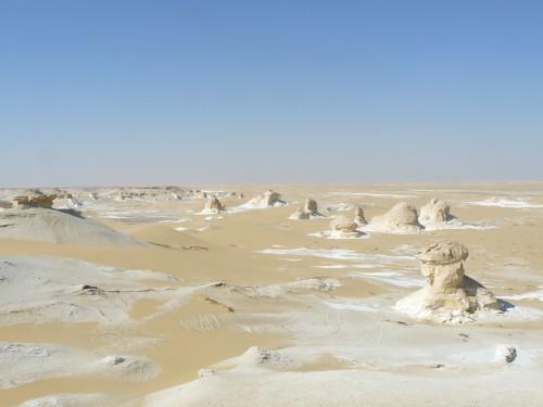 Retour en Egypte (1) P1050226.JPG