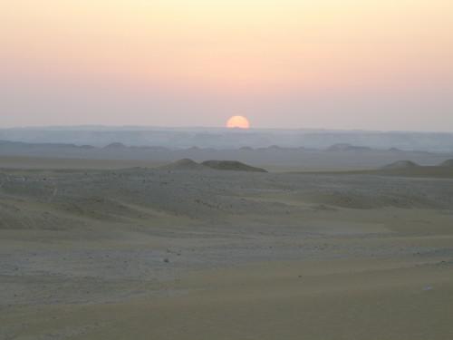 Retour en Egypte (1) P1050207.JPG