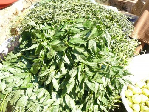 Retour en Egypte (1) P1050466.JPG