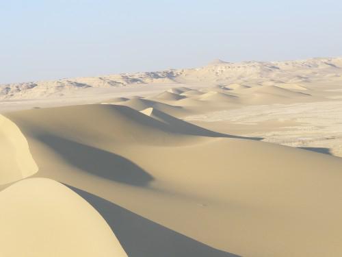 Retour en Egypte (1) P1050215.JPG