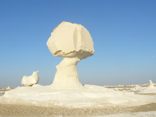 Retour en Egypte (1) P1050257.JPG