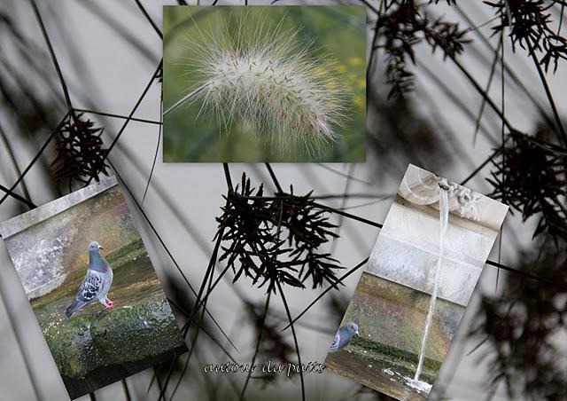 A SURVEILLER A SURVEILLER