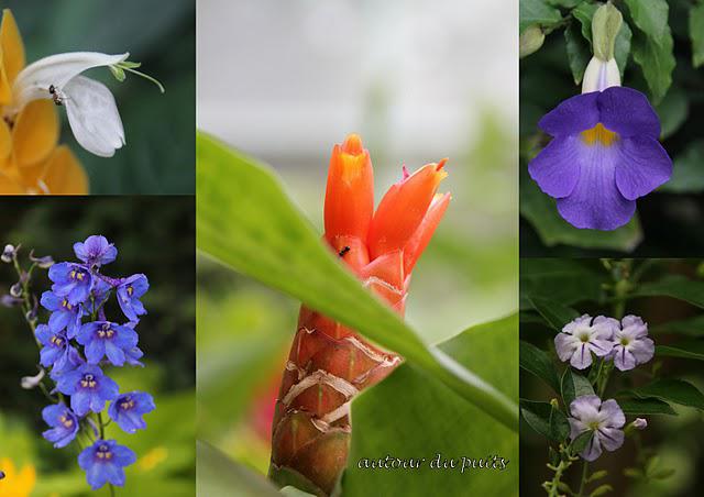 A SURVEILLER A SURVEILLER