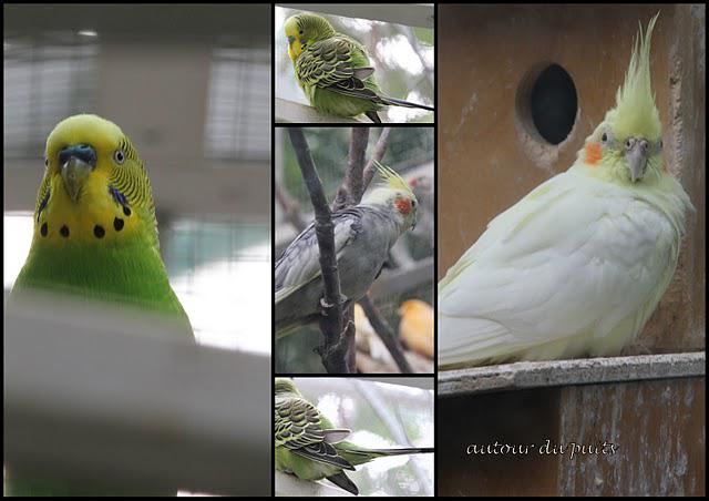 A SURVEILLER A SURVEILLER