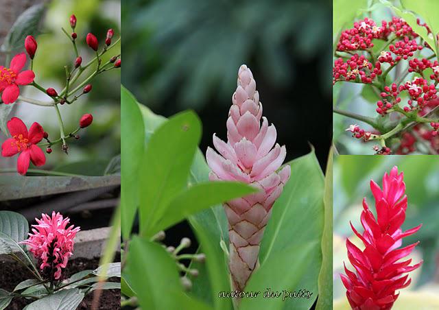 A SURVEILLER A SURVEILLER