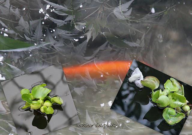 A SURVEILLER A SURVEILLER