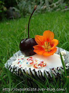 Garden Party Cupcakes-19