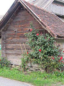 Naves-Parmelan Naves-1139.JPG