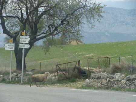 Farandole de souvenirs niçois à la MissK