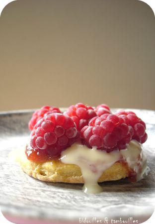 °chocolat blanc & framboise° tarte_framboise_chocolat_blanc_250810