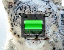 Charger ''sans fil'' la batterie de son iPhone...