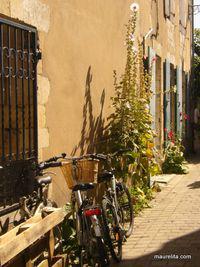 Ile de Ré