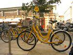 Yelo