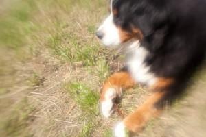 Essai Lensbaby 2/5 : les montures Muse, Composer et Control Freak Essai Lensbaby 2/5 : les montures Muse, Composer et Control Freak