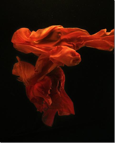 zena-holloway5 Zena Holloway