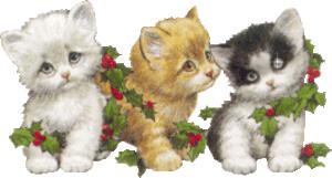 LIste des inscriptions au jeu ANNIBLOG wc3jtume