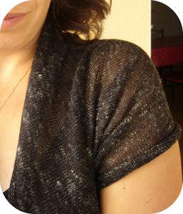 Boléro-Gilet Rapido Sans_titre4