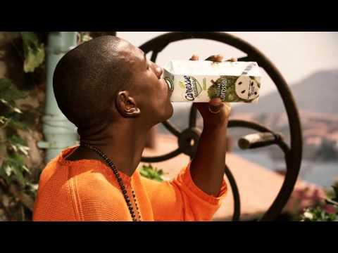 Tom Possion, vous ne connaissez peut être pas ! Découvrez sa nouvelle chanson : trapéziste ! Image de prévisualisation YouTube