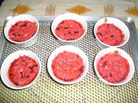 Crumble rose aux pralines (rhubarbe et framboises) P1010084_1