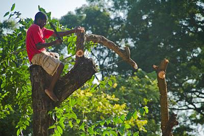 Le-gars-de-la-CSST Le-gars-de-la-CSST