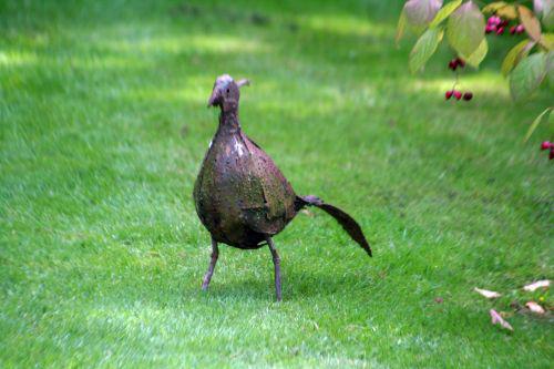 Le Grand Courtoiseau courtoiseau oiseau 11 sept 2010 003.jpg