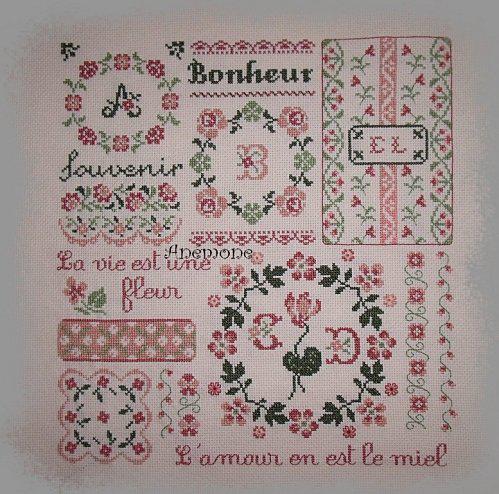 Victor encore et encore Anemone-58.JPG