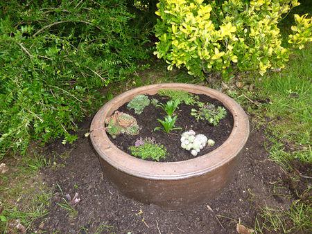 POUR LULU s_pulture_de_Lulu2