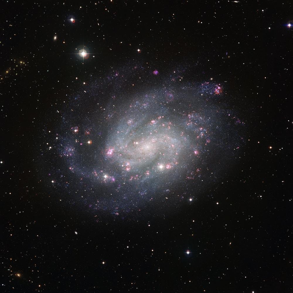 Galaxie spirale NGC 300 Galaxie spirale NGC 300