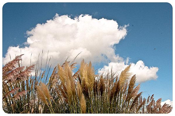 La Vasière de Méan : Une image du passé ? Vasiere-de-Mean-4.jpg