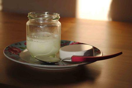 Homemade yoghurt Yahourt3