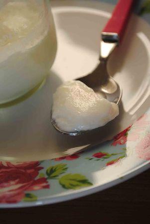 Homemade yoghurt Yahourt1