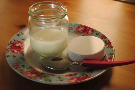 Homemade yoghurt Yahourt2