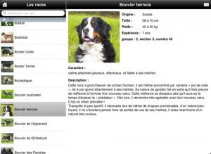 les_chiens_hd2 Les chiens HD : 10 licences à gagner