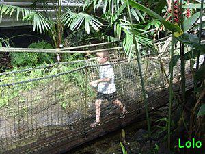 Dimanche entre Terre et Mer !! dimanchepasserellekk.jpg