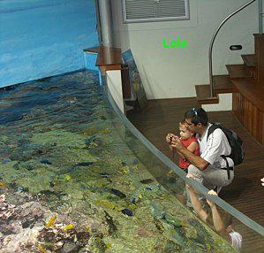 Dimanche entre Terre et Mer !! dimanchedoudouthierryphoto.jpg