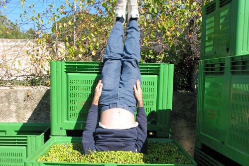 articletetebac articletetebac