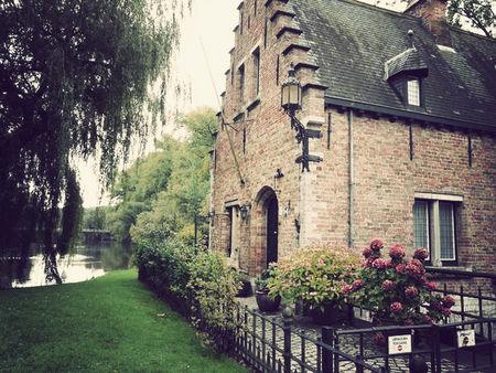 Journey in Belgium image_preview_33