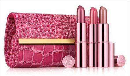 Estée Lauder se mobilise pour la lutte contre le cancer du sein pochette