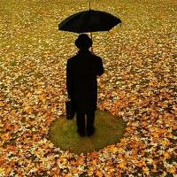 La Bonne Saison La Bonne Saison