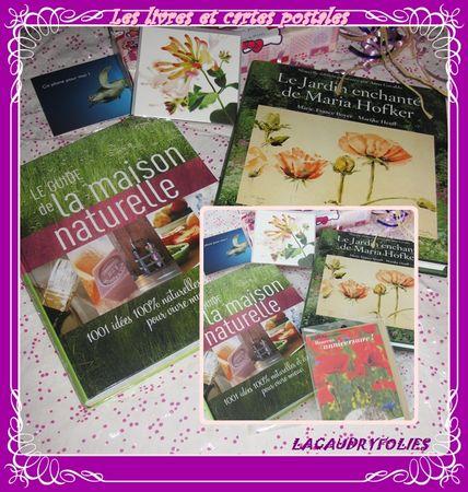 Aujourd’hui c'est cadeau (partie 2) les_livres