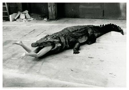 DESERT FLOWER, ETRE UNE FEMME Croco H Newton